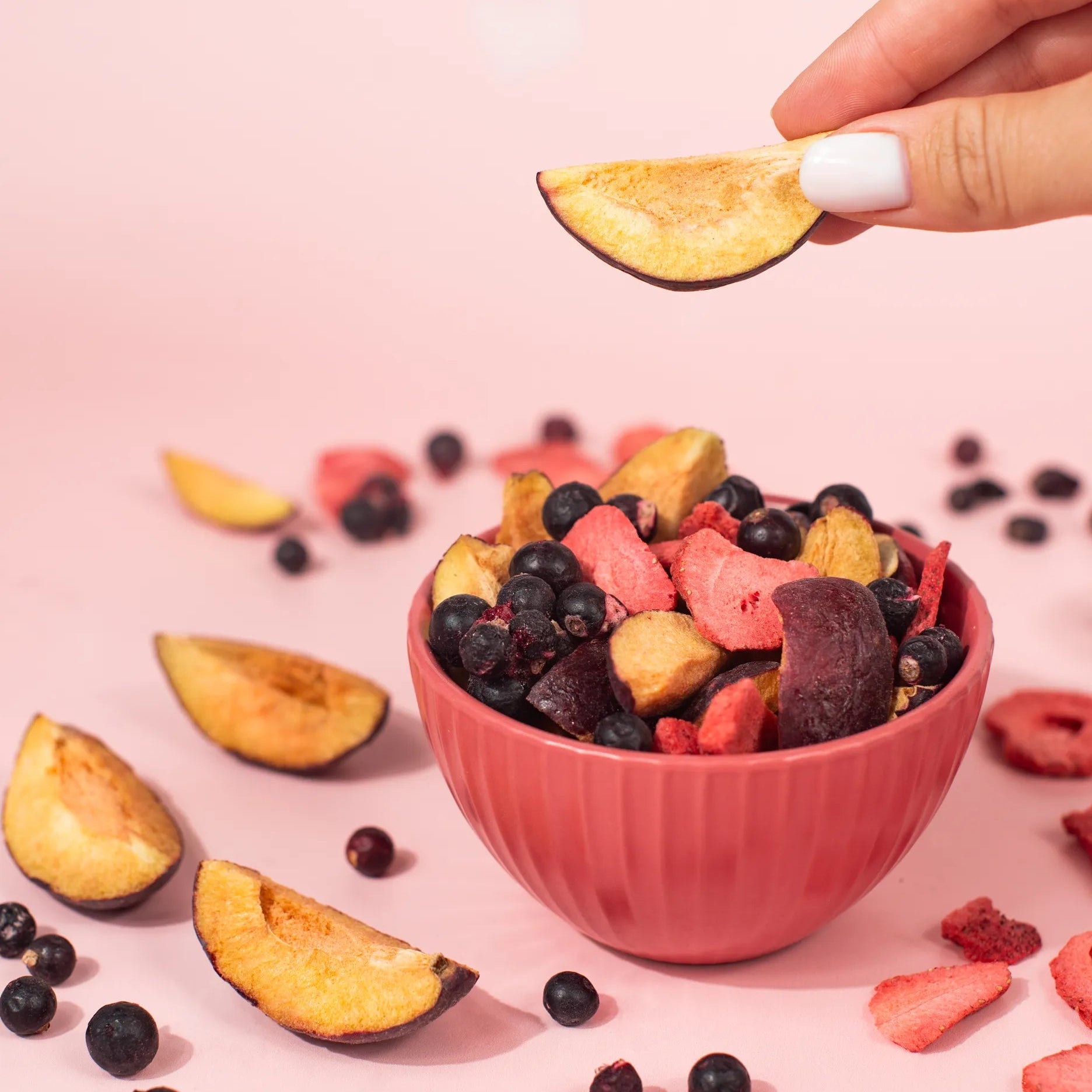 Vilgain Frysetørket Hage Frukt - 45g