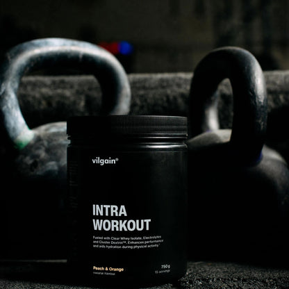 Vilgain Intra Workout - Norgain