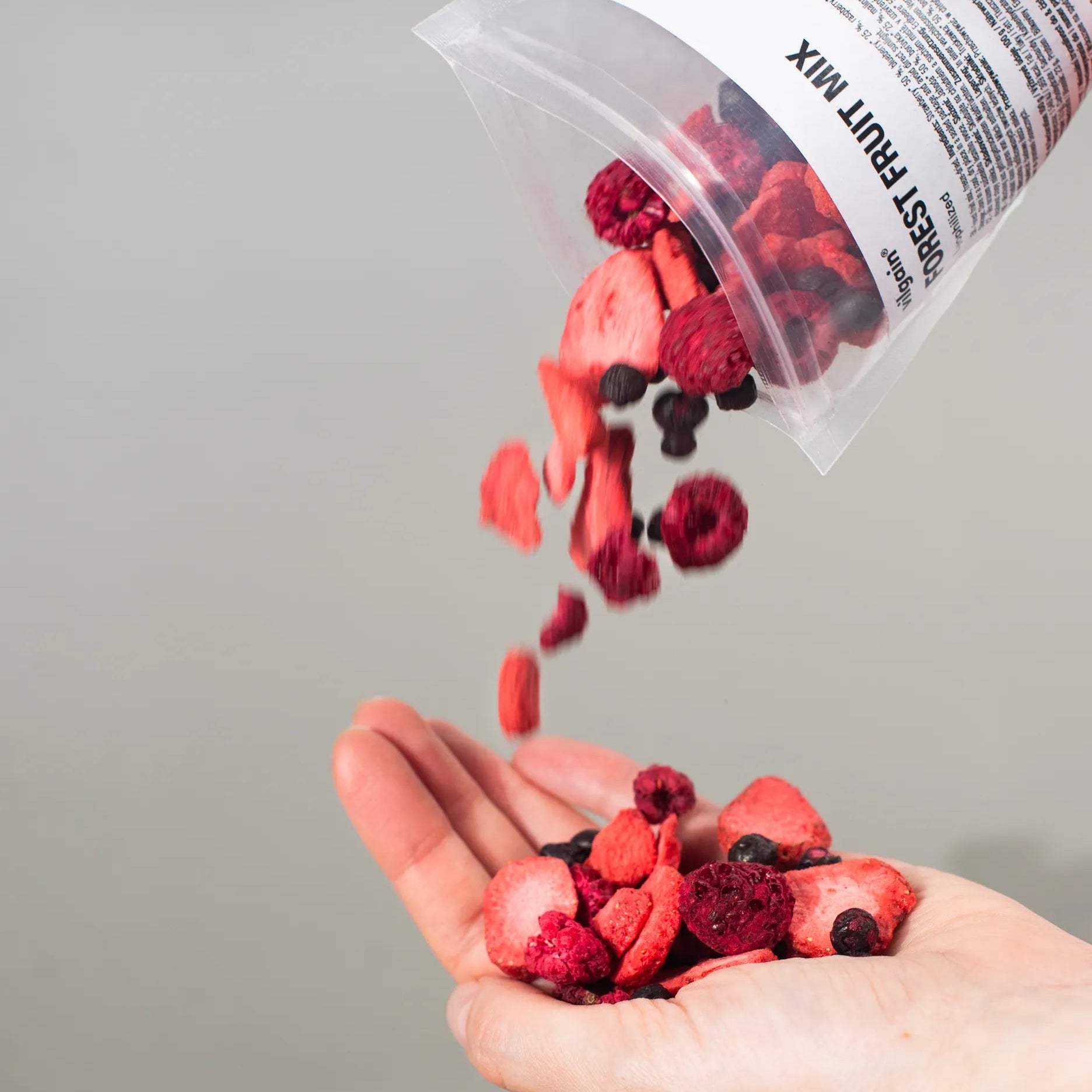 Vilgain Blanding av frystørket skogsbær - 45g