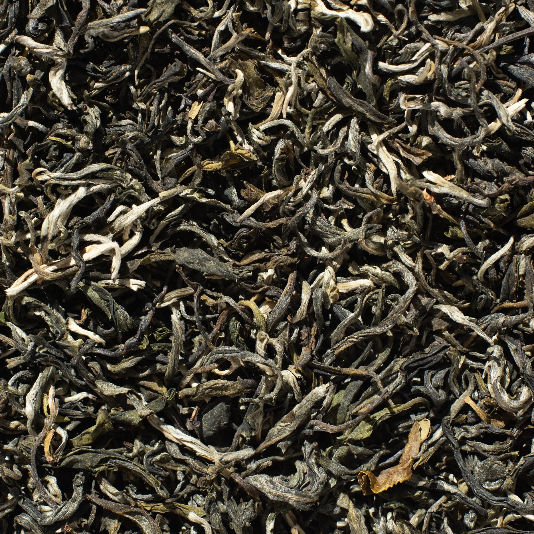 Vilgain White Monkey grønn te - 50g