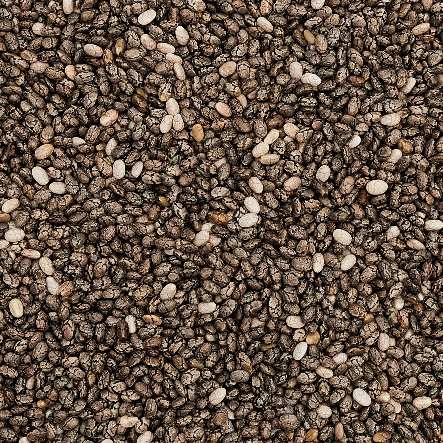 Vilgain Chiafrø - 250g